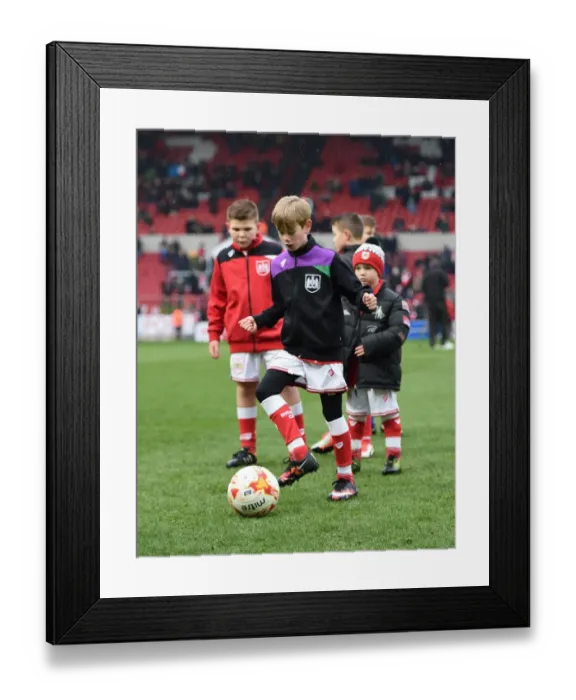 Framed Print : Sky Bet Championship Showdown: Bristol City vs Ipswich Town at Ashton Gate Stadium (February 2016) Framed Print : Sky Bet Championship Showdown: Bristol City vs Ipswich Town at Ashton Gate Stadium (February 2016)