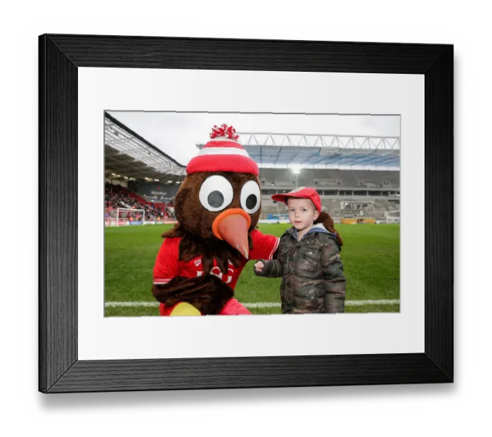 Framed Print : Bristol City: Young Fan Receives Cap from Scrumpy the Mascot at Ashton Gate Stadium Framed Print : Bristol City: Young Fan Receives Cap from Scrumpy the Mascot at Ashton Gate Stadium