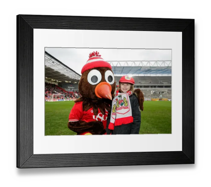 Framed Print : Bristol City's Scrumpy Mascot Presents Cap to Young Fan at Ashton Gate Stadium Framed Print : Bristol City's Scrumpy Mascot Presents Cap to Young Fan at Ashton Gate Stadium