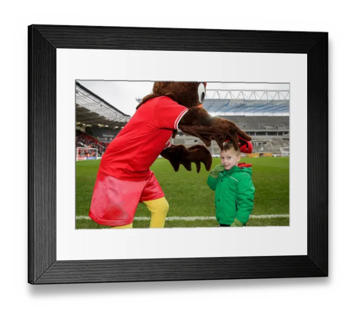 Framed Print : Bristol City's Scrumpy Mascot Delights Young Fan with Cap Presentation at Half-Time Framed Print : Bristol City's Scrumpy Mascot Delights Young Fan with Cap Presentation at Half-Time