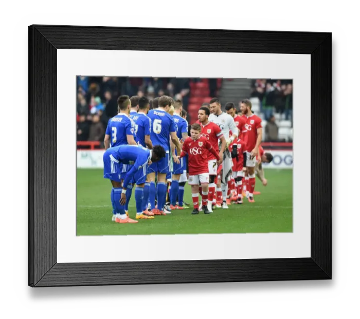 Framed Print : Bristol City vs Ipswich Town: Mascots Exchange Handshakes at Ashton Gate, 2016 Framed Print : Bristol City vs Ipswich Town: Mascots Exchange Handshakes at Ashton Gate, 2016