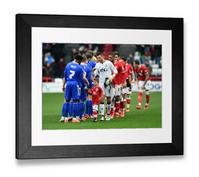Framed Print : Bristol City vs Ipswich Town: Mascots Shake Hands at Ashton Gate, 2016 Framed Print : Bristol City vs Ipswich Town: Mascots Shake Hands at Ashton Gate, 2016