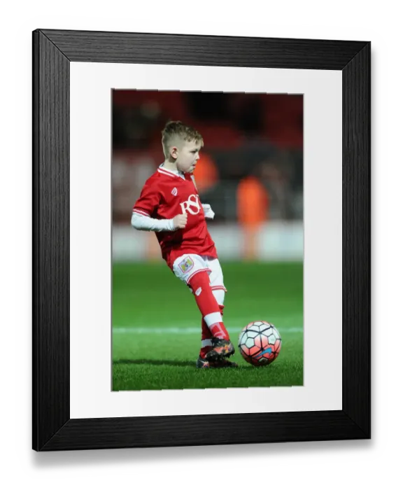 Framed Print : Bristol City vs Brighton: Clash at Ashton Gate - Sky Bet Championship (February 23, 2016) Framed Print : Bristol City vs Brighton: Clash at Ashton Gate - Sky Bet Championship (February 23, 2016)