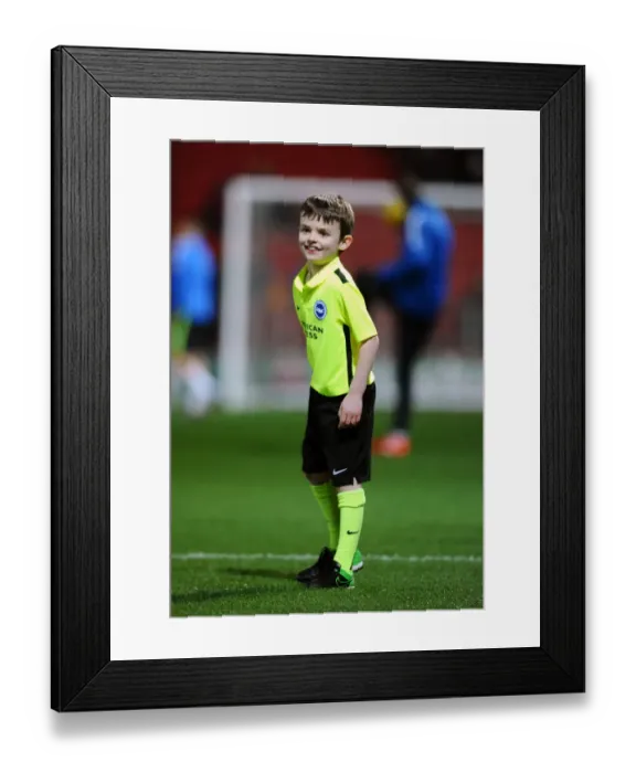 Framed Print : Bristol City vs Brighton: Clash at Ashton Gate - Sky Bet Championship (February 2016)