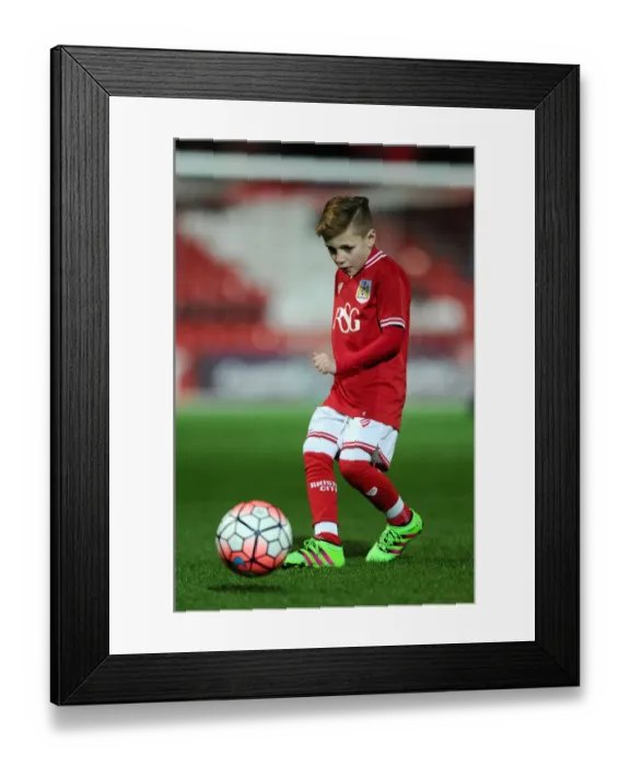 Framed Print : Bristol City vs Brighton: Clash at Ashton Gate, Sky Bet Championship (February 2016)