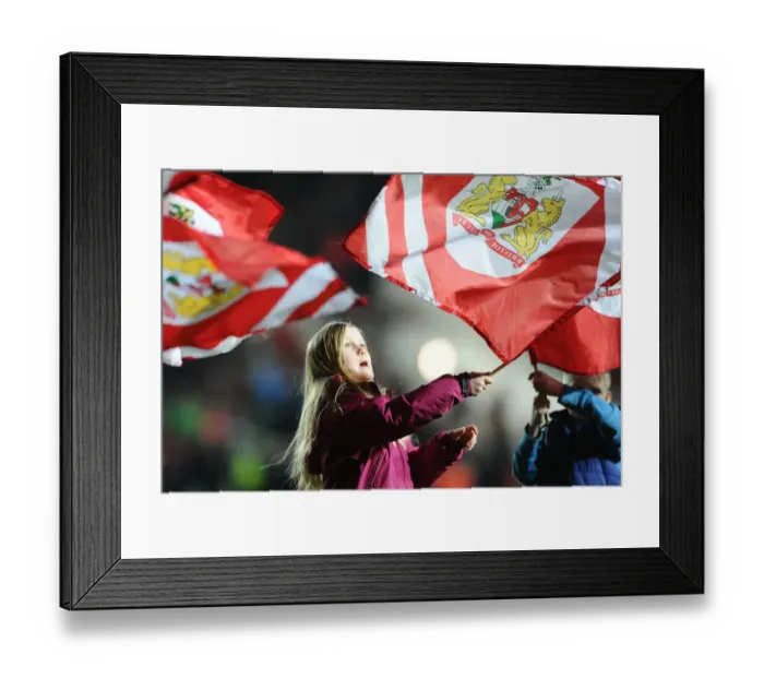 Framed Print : Flag-Bearing Moment: Bristol City vs Brighton, Sky Bet Championship (February 23, 2016)