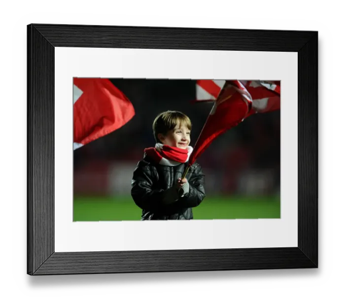 Framed Print : Bristol City vs Brighton: Flag-Bearing Moment at Ashton Gate, Sky Bet Championship (February 23, 2016) Framed Print : Bristol City vs Brighton: Flag-Bearing Moment at Ashton Gate, Sky Bet Championship (February 23, 2016)