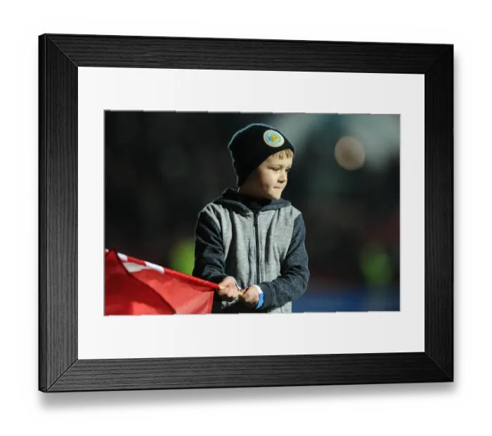 Framed Print : Flag-Bearing Moment: Bristol City vs. Brighton, Sky Bet Championship (February 23, 2016)