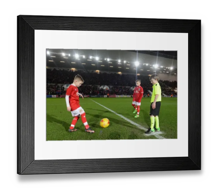 Framed Print : Mascots Kick Off: Bristol City vs. Brighton, Sky Bet Championship (February 2016)