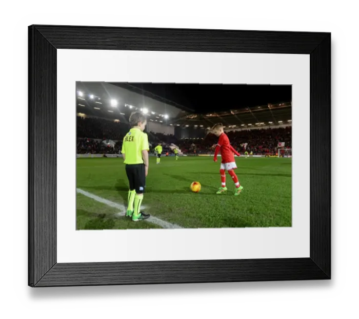 Framed Print : Mascots Kick Off: Bristol City vs Brighton, Sky Bet Championship (Ashton Gate, 2016)
