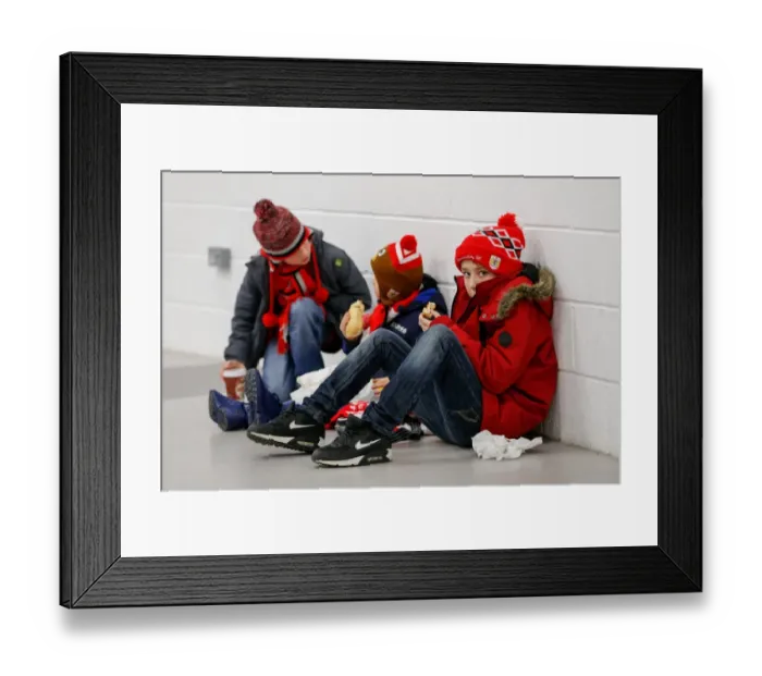 Framed Print : Bristol City Supporters United: Gear Up for Championship Showdown against Brighton & Hove Albion at Ashton Gate Stadium (2016) Framed Print : Bristol City Supporters United: Gear Up for Championship Showdown against Brighton & Hove Albion at Ashton Gate Stadium (2016)