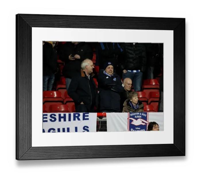 Framed Print : Sea of Seagulls: Overwhelming Ashton Gate - Brighton Fans Triumph Framed Print : Sea of Seagulls: Overwhelming Ashton Gate - Brighton Fans Triumph