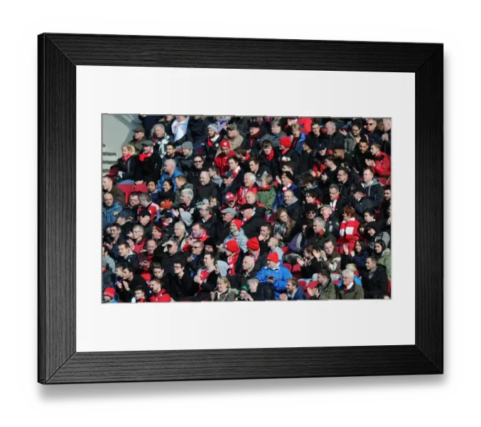 Framed Print : Sea of Passion: Bristol City vs. Cardiff City at Ashton Gate, 2016
