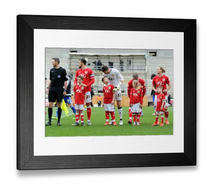 Framed Print : Bristol City vs. Cardiff City: Mascots Clash at Ashton Gate, Sky Bet Championship (March 2016)