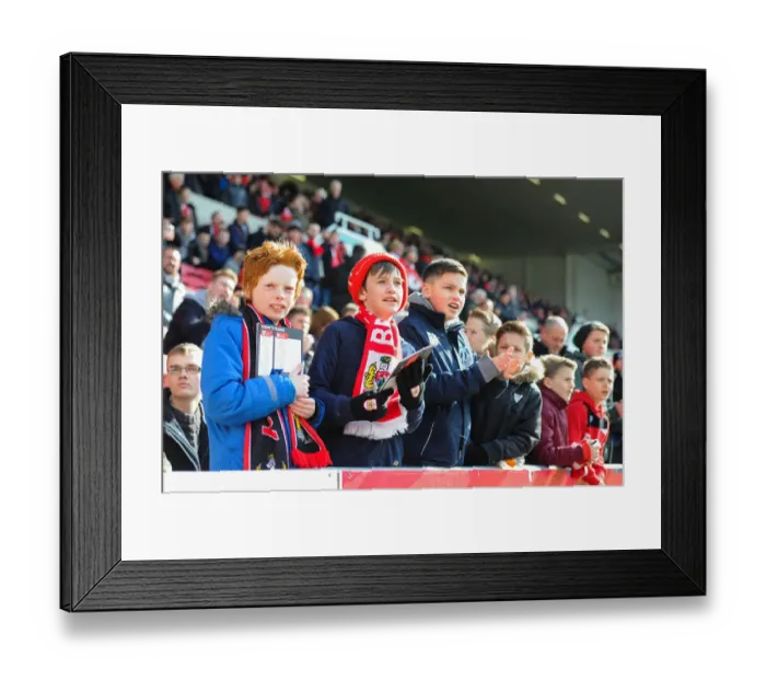 Framed Print : Bristol City vs. Cardiff City: A Sea of Passionate Fans at Ashton Gate, 2016