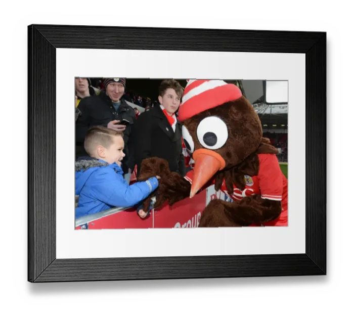 Framed Print : Scrumpy and the Young Bristol City Fan: A Moment of Passion at Ashton Gate (Bristol City v Cardiff City, 2016)