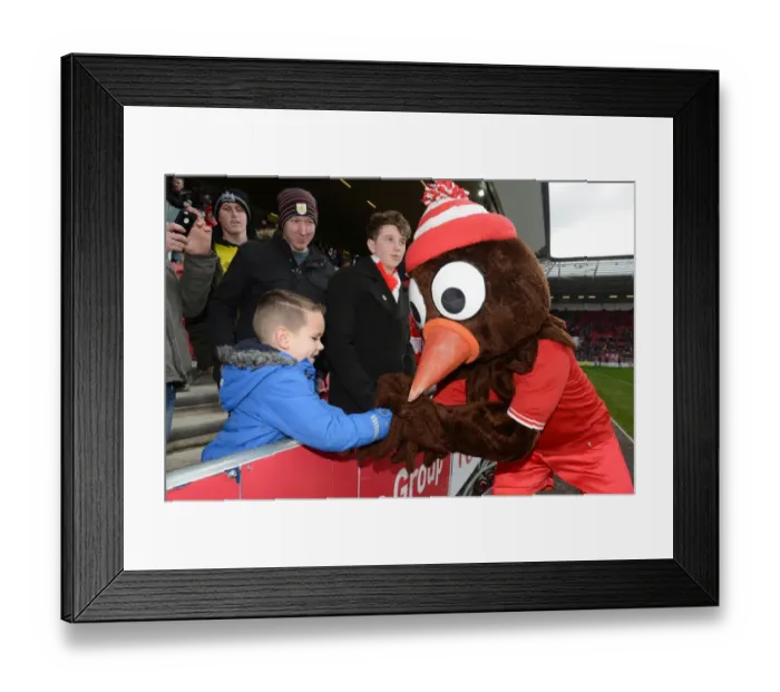 Framed Print : A Passionate Moment between Scrumpy and a Young Bristol City Fan at Ashton Gate