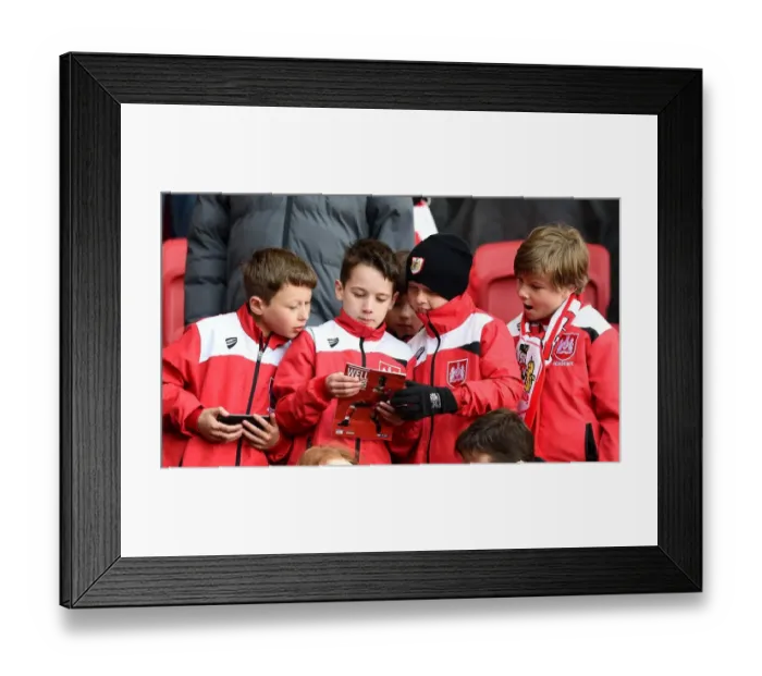 Framed Print : Sea of Supporters: Bristol City vs. Cardiff City at Ashton Gate Stadium, Sky Bet Championship Match, 2016 Framed Print : Sea of Supporters: Bristol City vs. Cardiff City at Ashton Gate Stadium, Sky Bet Championship Match, 2016