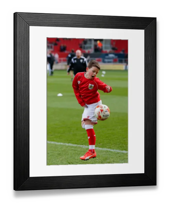 Framed Print : Championship Showdown: Mascots Face-Off at Ashton Gate - Bristol City vs. Cardiff City Framed Print : Championship Showdown: Mascots Face-Off at Ashton Gate - Bristol City vs. Cardiff City