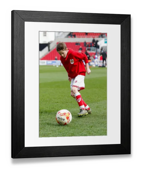 Framed Print : Mascots of Bristol City and Cardiff City Gear Up for Championship Showdown at Ashton Gate Stadium