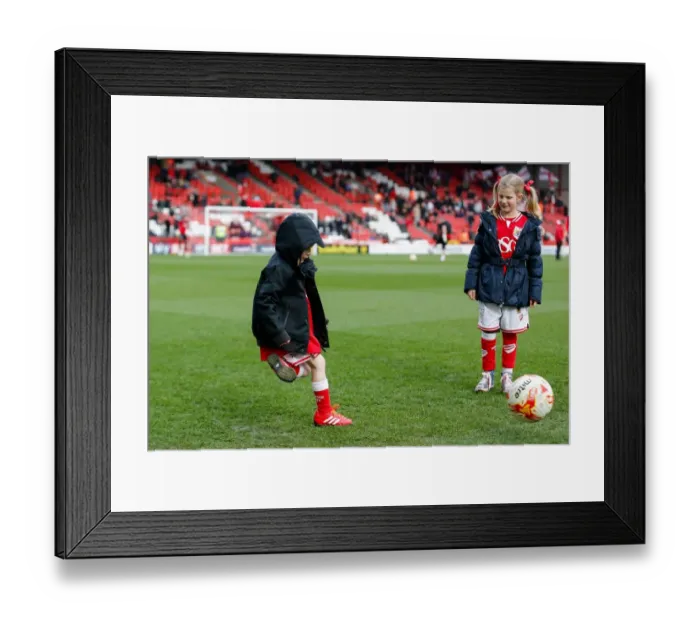 Framed Print : Mascots Gear Up for Bristol City vs. Cardiff City Championship Clash at Ashton Gate Stadium