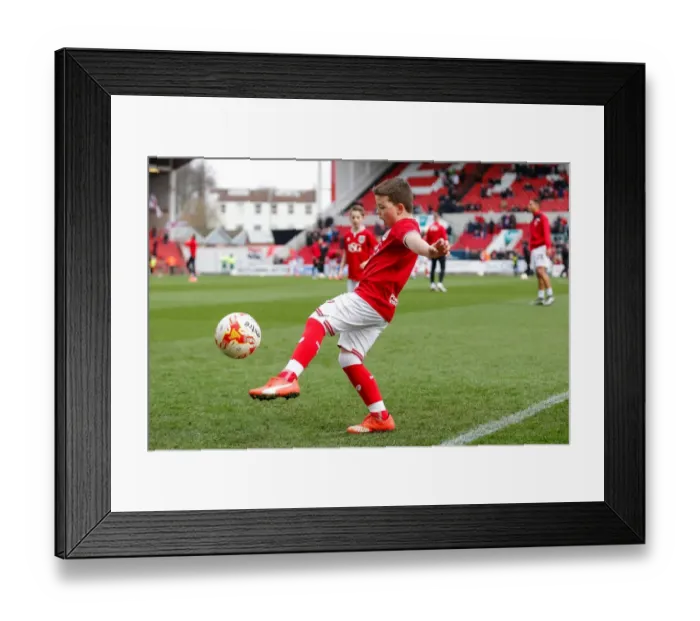 Framed Print : Championship Showdown: Mascots Clash at Ashton Gate - Bristol City vs. Cardiff City Framed Print : Championship Showdown: Mascots Clash at Ashton Gate - Bristol City vs. Cardiff City