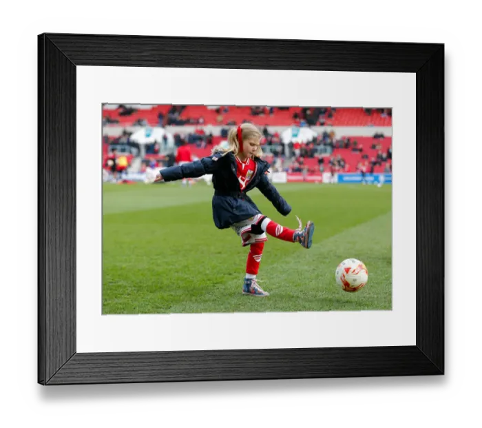 Framed Print : Mascots Gear Up for Championship Showdown: Bristol City vs. Cardiff City Framed Print : Mascots Gear Up for Championship Showdown: Bristol City vs. Cardiff City