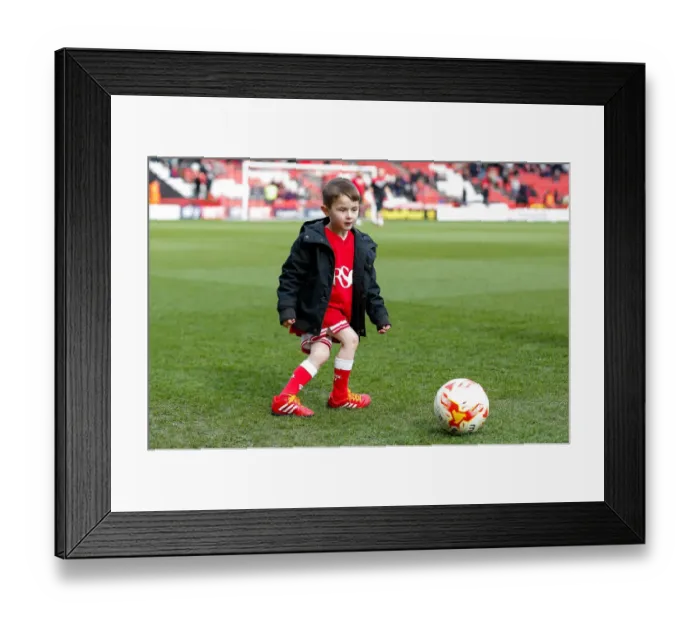 Framed Print : Mascots of Bristol City and Cardiff City Warm Up Ahead of Championship Clash at Ashton Gate Stadium