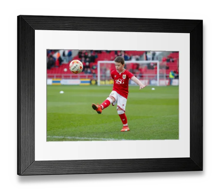 Framed Print : Championship Showdown: Mascots Go Head-to-Head at Ashton Gate - Bristol City vs. Cardiff City