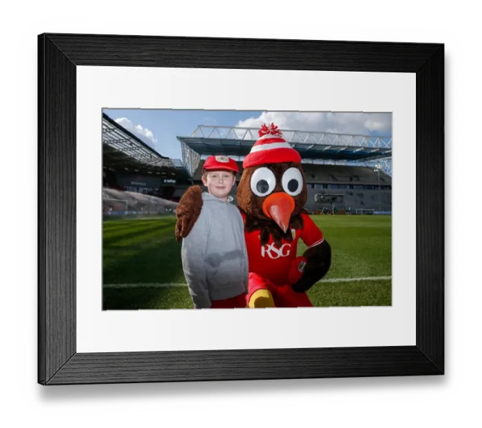 Framed Print : Half Time: Bristol City vs. Cardiff City, Sky Bet Championship (05 / 03 / 2016) - Ashton Gate Stadium Framed Print : Half Time: Bristol City vs. Cardiff City, Sky Bet Championship (05 / 03 / 2016) - Ashton Gate Stadium