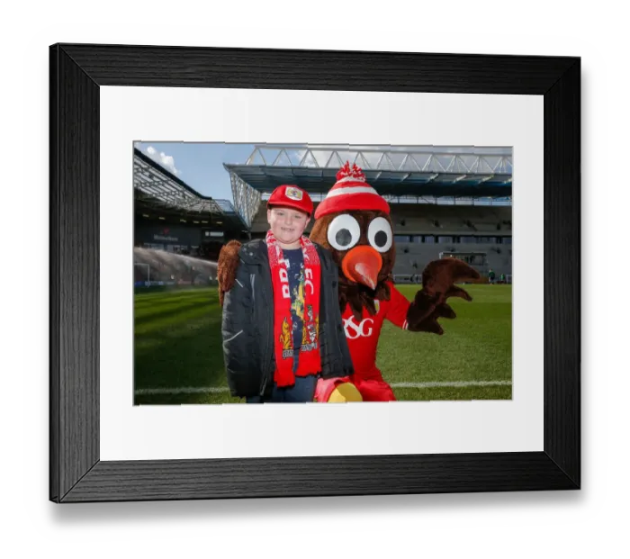 Framed Print : Half Time at Ashton Gate: Bristol City vs. Cardiff City, Sky Bet Championship (March 5, 2016) Framed Print : Half Time at Ashton Gate: Bristol City vs. Cardiff City, Sky Bet Championship (March 5, 2016)