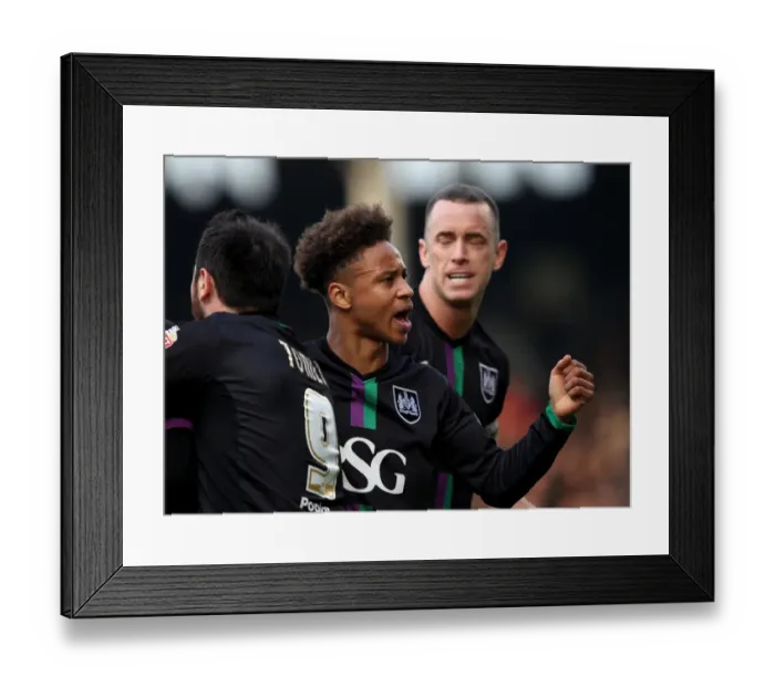 Framed Print : Bobby Reid and Marlon Pack Celebrate Goal: Fulham vs. Bristol City, Sky Bet Championship (12 March 2016) Framed Print : Bobby Reid and Marlon Pack Celebrate Goal: Fulham vs. Bristol City, Sky Bet Championship (12 March 2016)