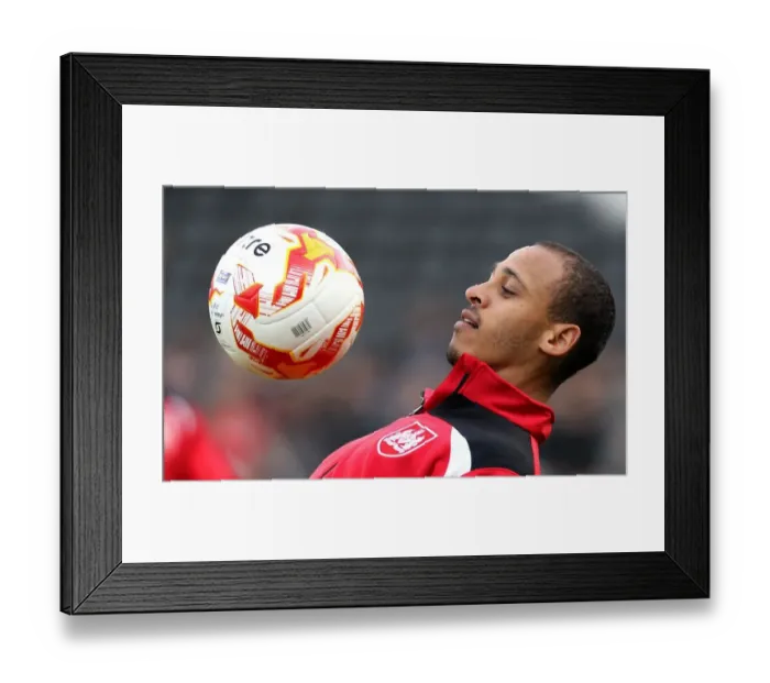 Framed Print : Bristol City's Peter Odemwingie Gears Up for Fulham Clash in Championship Action Framed Print : Bristol City's Peter Odemwingie Gears Up for Fulham Clash in Championship Action