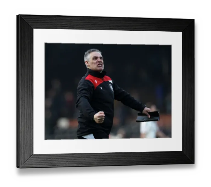 Framed Print : Fulham v Bristol City 120316