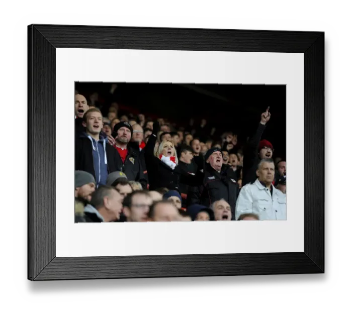 Framed Print : Sea of Passion: Bristol City vs. Bolton Wanderers, 2016 - Ashton Gate Framed Print : Sea of Passion: Bristol City vs. Bolton Wanderers, 2016 - Ashton Gate