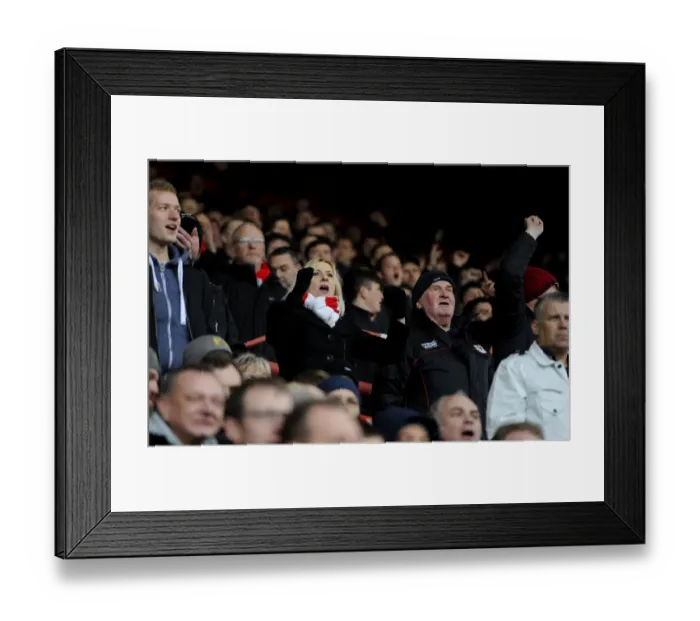 Framed Print : Sea of Passion: Bristol City vs. Bolton Wanderers, 2016 - Ashton Gate Framed Print : Sea of Passion: Bristol City vs. Bolton Wanderers, 2016 - Ashton Gate
