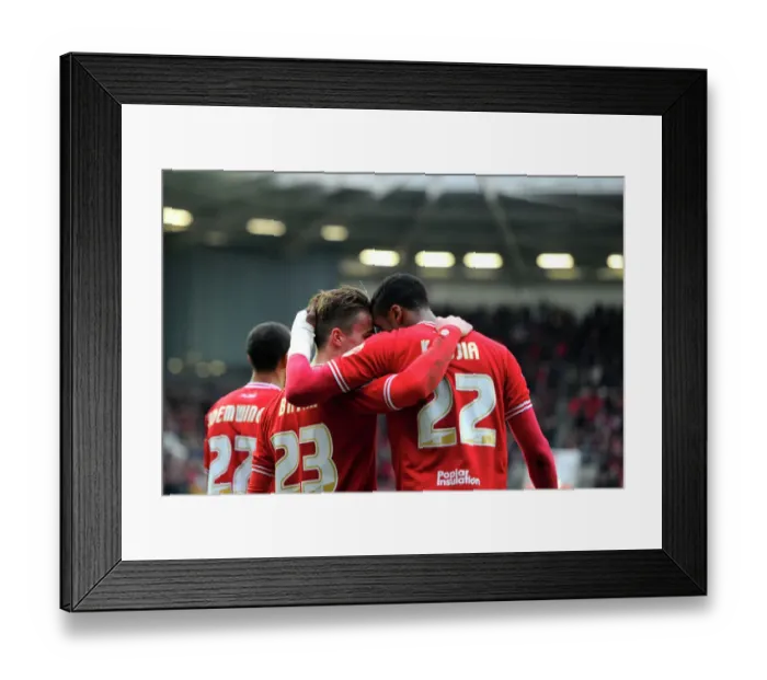 Framed Print : Bristol City v Bolton Wanderers 190316 Framed Print : Bristol City v Bolton Wanderers 190316
