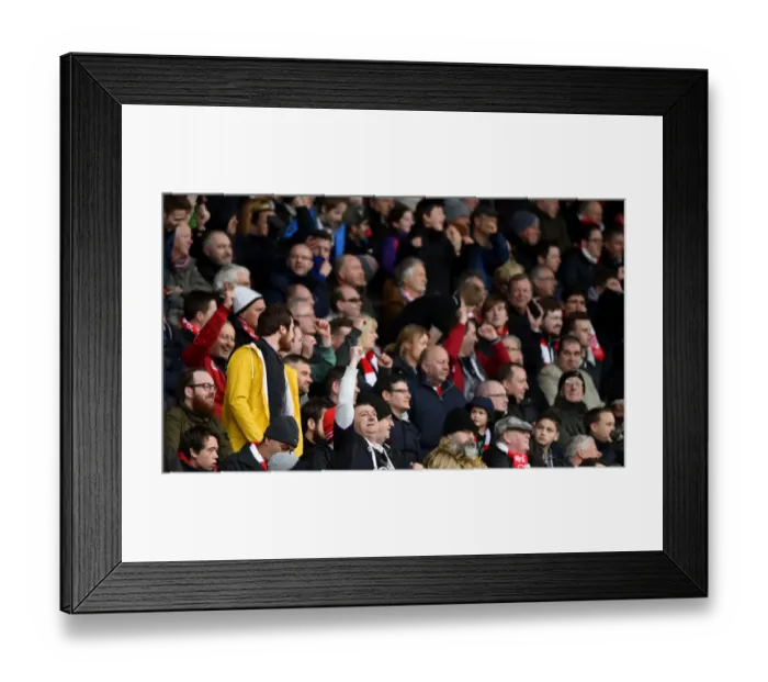 Framed Print : Sea of Supporters: Bristol City vs. Bolton Wanderers at Ashton Gate, 2016