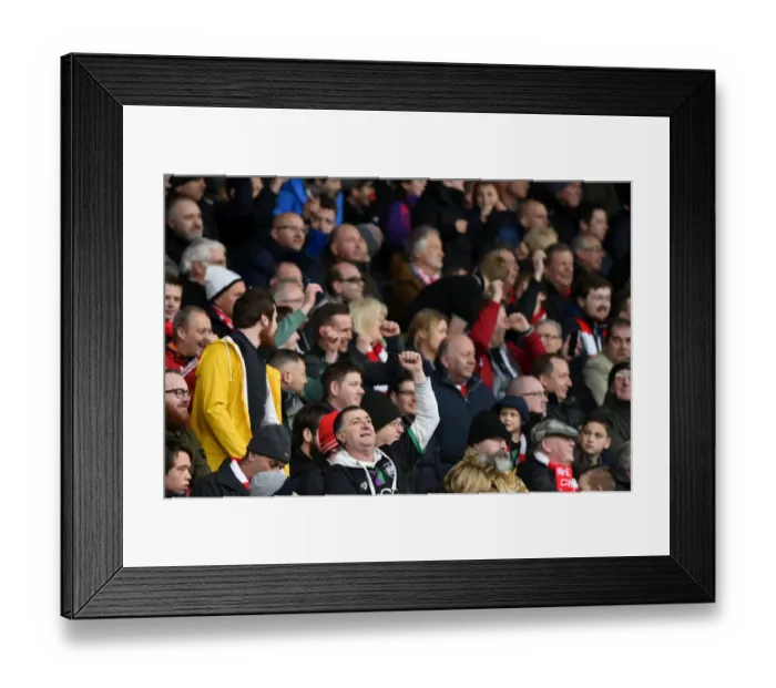 Framed Print : Sea of Supporters: Bristol City vs. Bolton Wanderers at Ashton Gate, 2016 Framed Print : Sea of Supporters: Bristol City vs. Bolton Wanderers at Ashton Gate, 2016