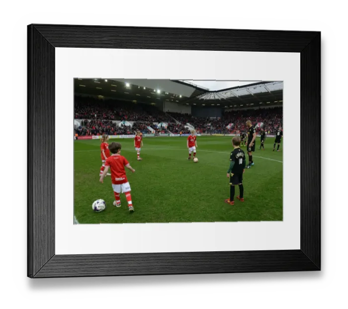 Framed Print : Sky Bet Championship: Bristol City vs. Bolton Wanderers Clash at Ashton Gate
