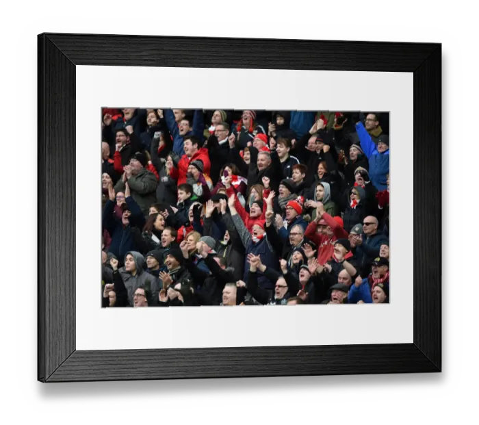 Framed Print : Bristol City Celebrates Home Victory Over Bolton Wanderers, Ashton Gate Stadium, 2016
