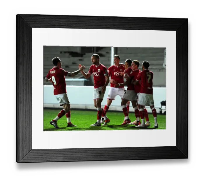 Framed Print : Bristol City Celebrate Peter Odemwingie's Goal Against Rotherham United, Sky Bet Championship 2016