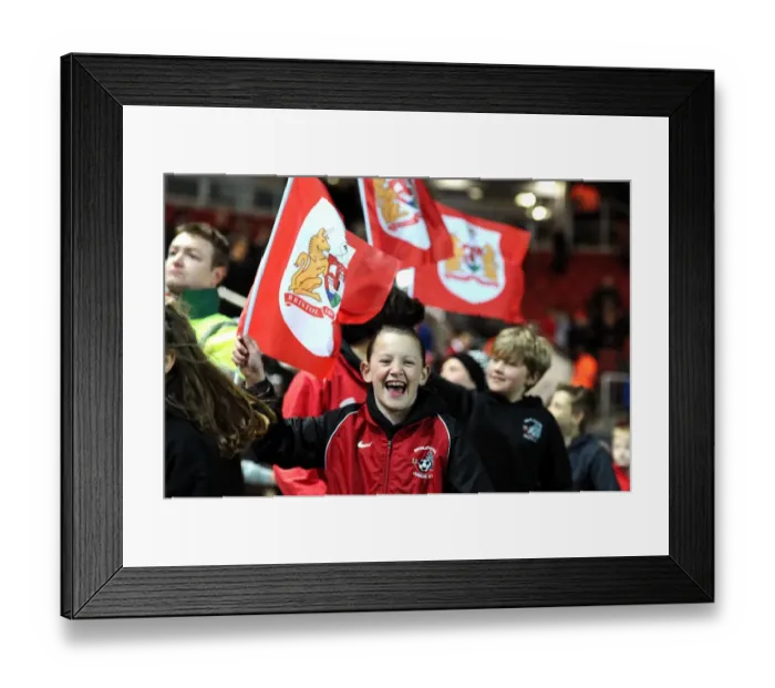 Framed Print : Sky Bet Championship Showdown: Bristol City vs Rotherham United at Ashton Gate Stadium (05.04.2016) - Pitch Parade Framed Print : Sky Bet Championship Showdown: Bristol City vs Rotherham United at Ashton Gate Stadium (05.04.2016) - Pitch Parade