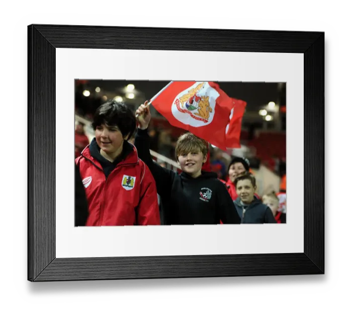 Framed Print : Sky Bet Championship Showdown: Bristol City vs Rotherham United at Ashton Gate Stadium (05.04.2016) - Pitch Parade Framed Print : Sky Bet Championship Showdown: Bristol City vs Rotherham United at Ashton Gate Stadium (05.04.2016) - Pitch Parade