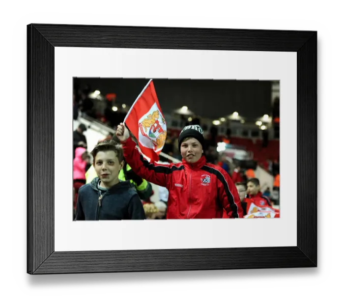Framed Print : Sky Bet Championship Showdown: Bristol City vs Rotherham United at Ashton Gate Stadium (05.04.2016)