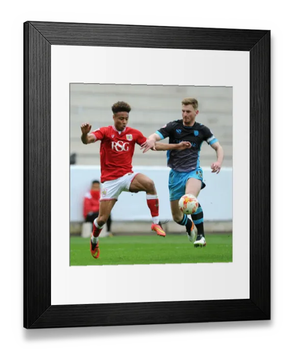 Framed Print : Bobby Reid vs Tom Lees: Intense Battle for Possession in Bristol City vs Sheffield Wednesday Championship Clash Framed Print : Bobby Reid vs Tom Lees: Intense Battle for Possession in Bristol City vs Sheffield Wednesday Championship Clash