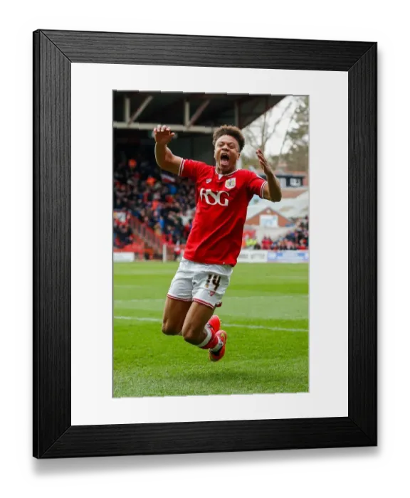 Framed Print : Bobby Reid's Brace: Bristol City Takes 2-0 Lead Over Sheffield Wednesday Framed Print : Bobby Reid's Brace: Bristol City Takes 2-0 Lead Over Sheffield Wednesday