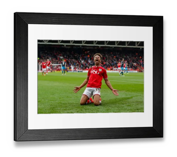 Framed Print : Bobby Reid's Double: Bristol City's 2-0 Lead Over Sheffield Wednesday (April 9, 2016)