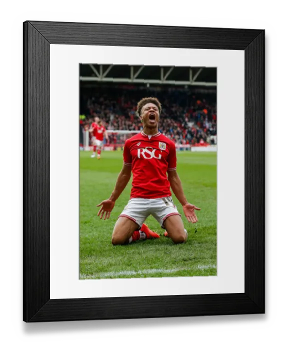 Framed Print : Bobby Reid's Brace: Bristol City Takes 2-0 Lead Over Sheffield Wednesday (April 9, 2016)