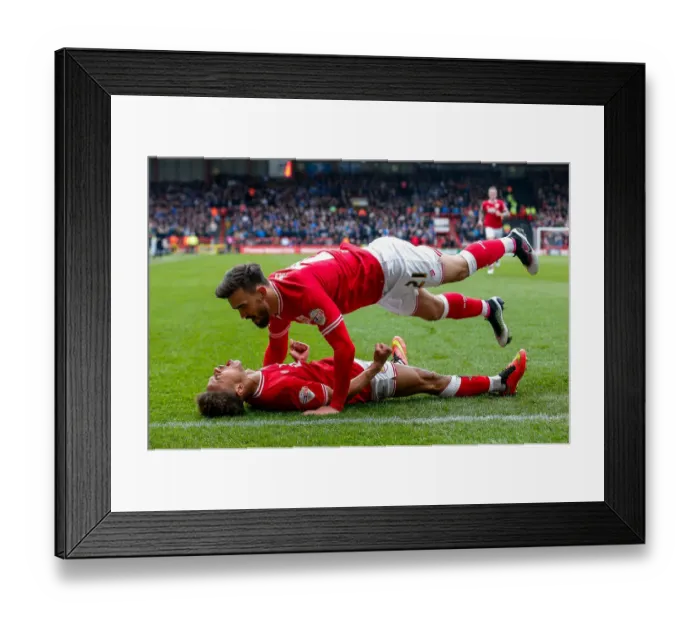 Framed Print : Bobby Reid's Brace: 2-0 for Bristol City Against Sheffield Wednesday, Ashton Gate Stadium, 2016 Sky Bet Championship Framed Print : Bobby Reid's Brace: 2-0 for Bristol City Against Sheffield Wednesday, Ashton Gate Stadium, 2016 Sky Bet Championship